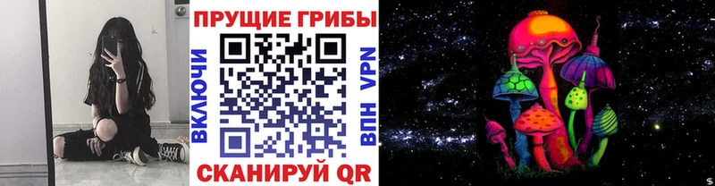 Псилоцибиновые грибы мухоморы  цены   Костерёво 
